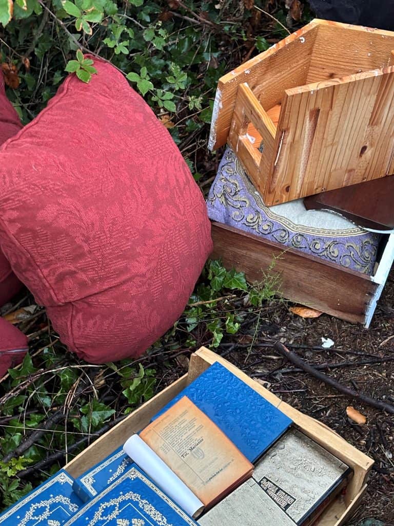 Déchets abandonnés dans la nature, meubles et livres en décomposition.